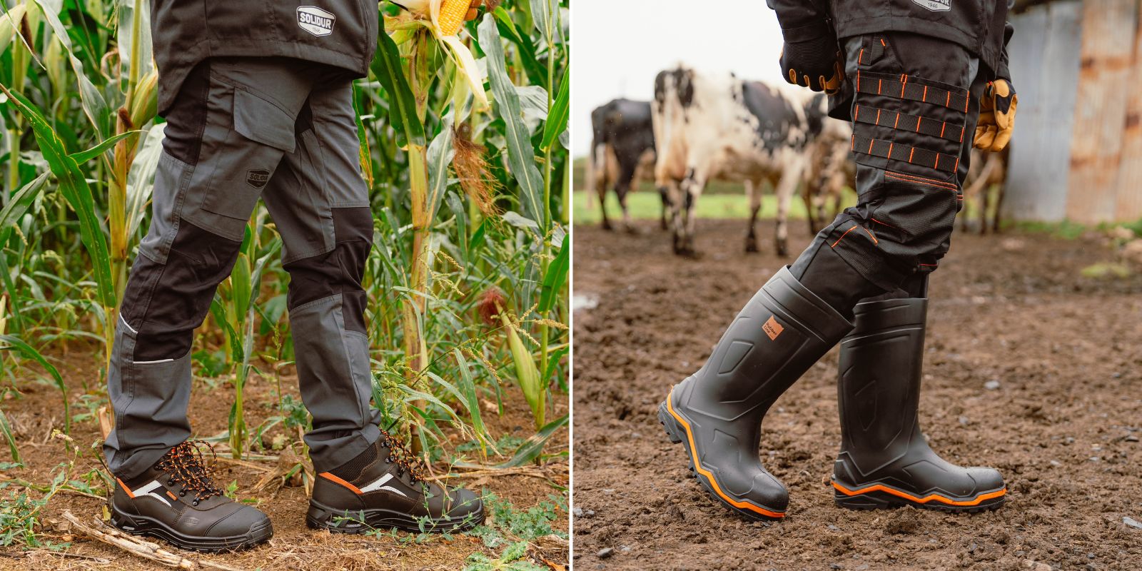 Soins aux animaux et bâtiments